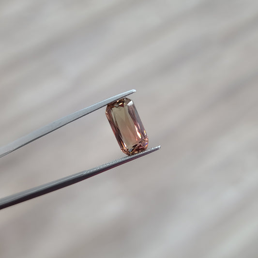 Bi-coloured Tourmaline