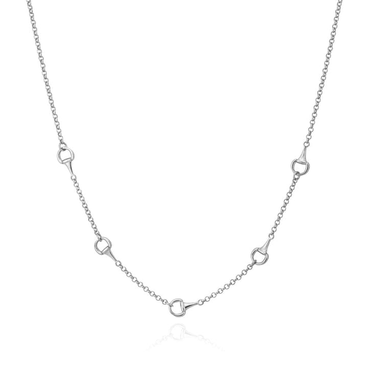 Sterling Silver Equestrian Link Necklace