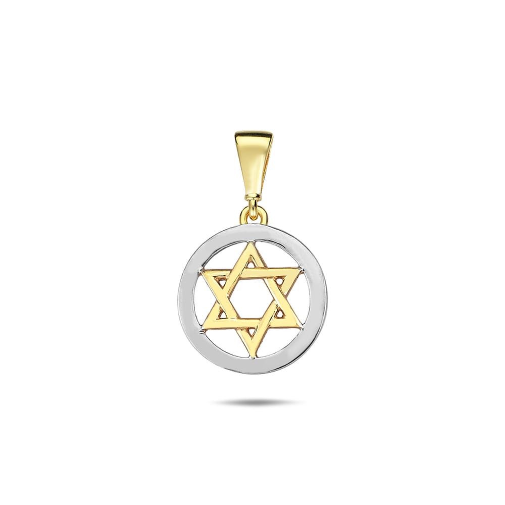 10K YG/WG Star of David Pendant with Chain 18"