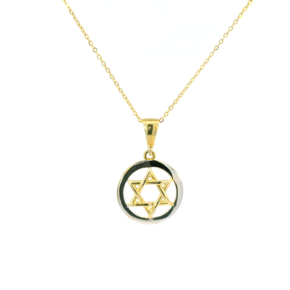 10K YG/WG Star of David Pendant with Chain 18"