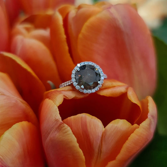 Chocolate Diamond Halo Ring